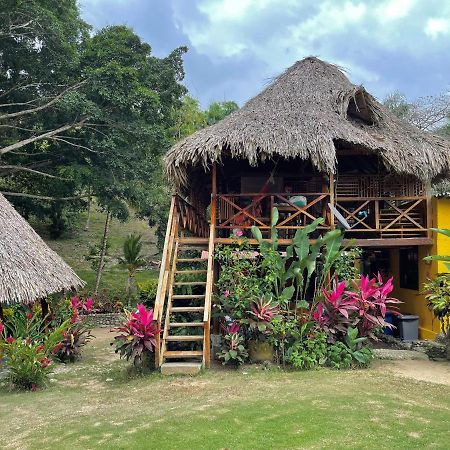 Ecohostal Palmares Del Rio Гуачака Экстерьер фото