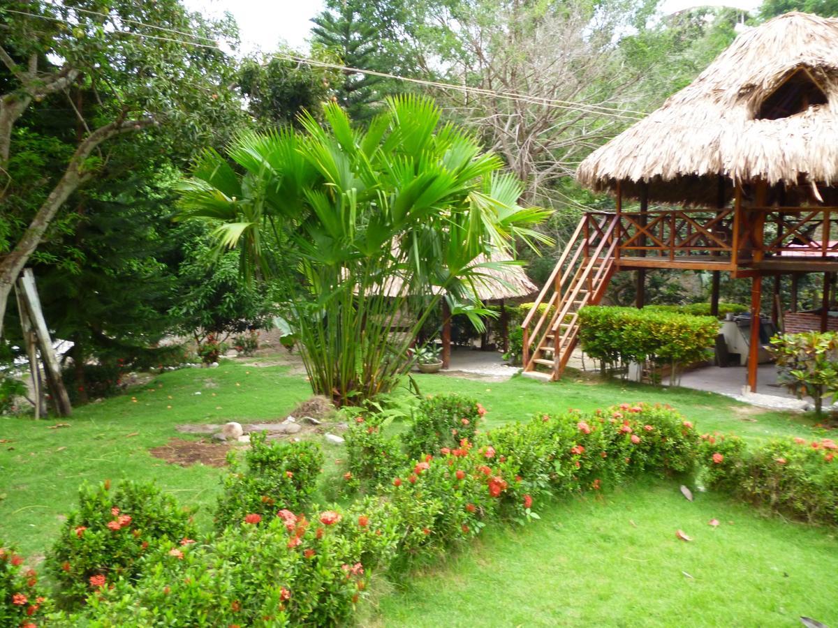Ecohostal Palmares Del Rio Гуачака Экстерьер фото